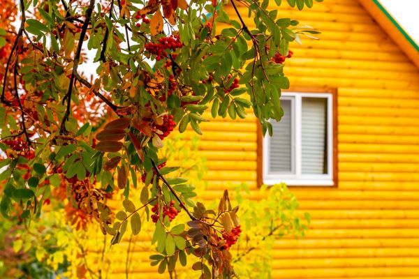 Garden Window Replacement in Biloxi